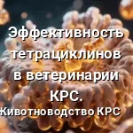 тетрациклин коров
