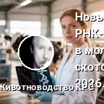 вирус Шмалленберг
