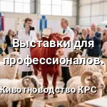выствки в сентябре