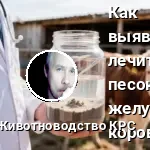взвесью для определения песка в говне