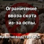 запрет на ввоз россельхоз