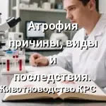 атрафия