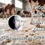 Гибридные биопленки