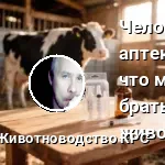 какие мед препараты можно корове