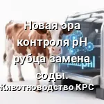 контроля pH рубца замена соды