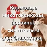Кормовые микотоксикозы