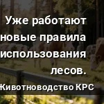 новые правила выпаса
