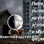передел рынка