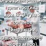 послеубойном осмотре строится на синдромальном принципе