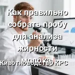 проба молока на анализ