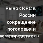рынок поголовья технологии коров