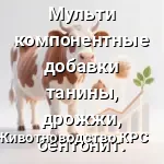 синергии танины, дрожжи и бентонит