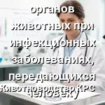 ветеринарной экспертизе