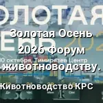 золотая осень 2026 7 октября