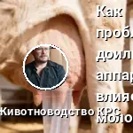 доильный аппарат