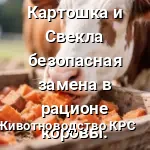 рацион кормления