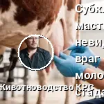 субклинический мастит проверка